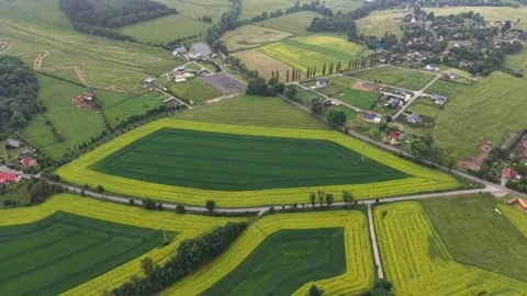 Aerial view of patchwork farmland with bold yellow borders surrounding deep Stock Footage 347914090