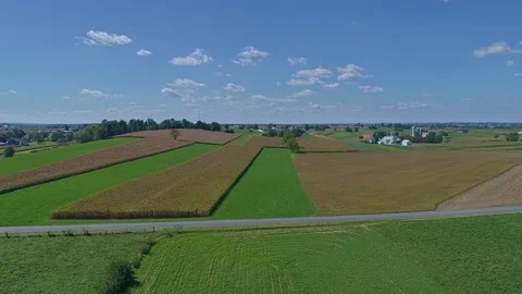 An Aerial View of Patchwork of Farmland Fields of Corn and Other Crops Stock-Footage 254555886