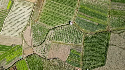 Aerial view of patchwork farmland. Stock Footage 301466978