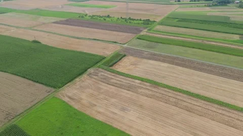 Aerial view of patchwork farmland with green and golden fields in summer Stock Footage 320634972