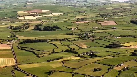 Aerial view of patchwork farmland. Lush green fields, stone walls Stock Footage 316976052