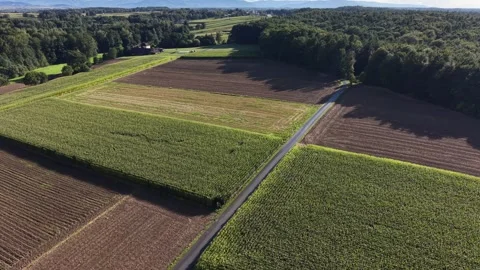 Aerial view of patchwork farmland with a rural village Stock Footage 347528671