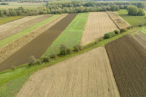 Aerial view of patchwork farmland showcasing vibrant green fields and golden Photos