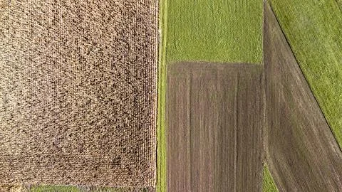 Aerial view of patchwork farmland showcasing varying textures and shades of Foto stock