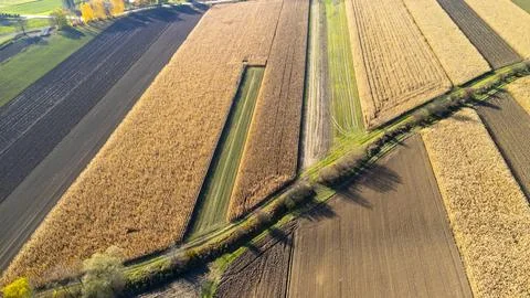 Aerial view of patchwork farmland showing vibrant fields in various shades of 库存照片