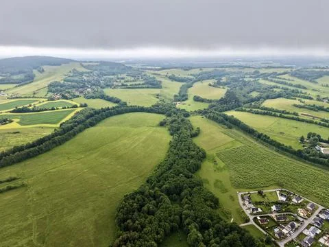 Aerial view of patchwork farmland with tree-lined hedgerows and rural settl.. 스톡 사진