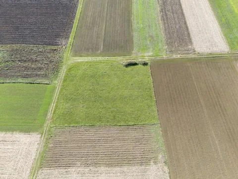 Aerial view of patchwork farmland with various shades of green and brown, Foto stock