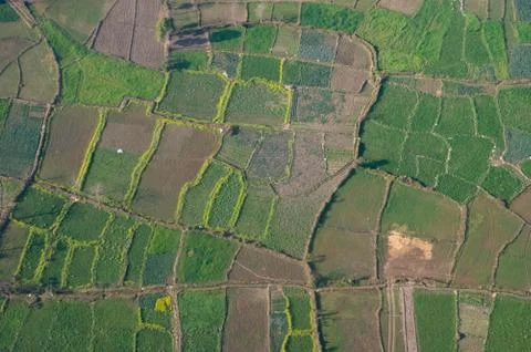 Aerial View of Patchwork Farmlands Stock Photos