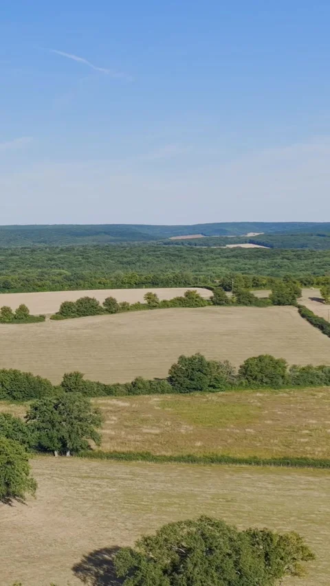 Aerial view of patchwork fields and dense forests under a clear blue sky near Stock Footage 346639313