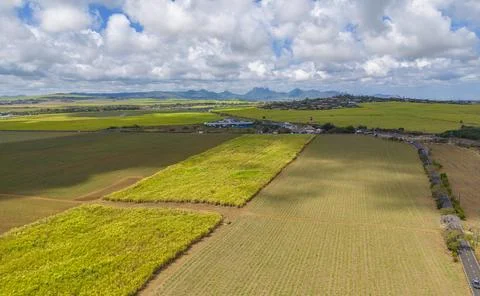 Aerial view of patchwork fields and mountains visible on horizon near Mapou, Stock Photos