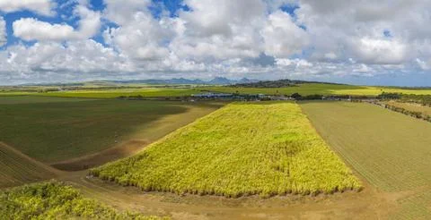 Aerial view of patchwork fields and mountains visible on horizon near Mapou, Stock-Fotos