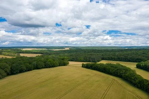 Aerial view of patchwork fields and dense forest Foto stock