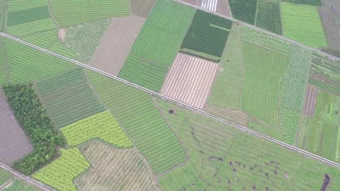Aerial view of patchwork fields creating a vibrant agricultural landscape 스톡 동영상 312302745