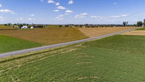 Aerial View of a Patchwork of Fields of Crops Growing, and a Farm Homestead 写真素材