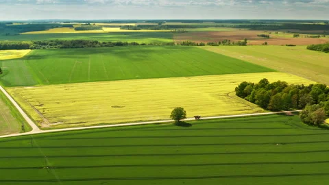 Aerial view of a patchwork of fields Stock Footage 218725509