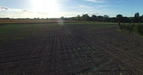 Aerial view of patchwork fields in France Video stock 59560625