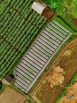 An aerial view of a patchwork of fields, highlighting the contrasting textu.. Stockfoto's