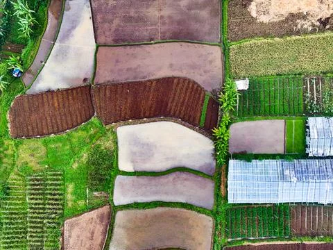 An aerial view of a patchwork of fields, highlighting the contrasting textu.. Fotos de archivo