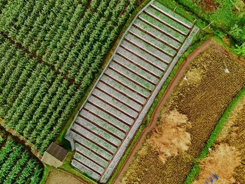 An aerial view of a patchwork of fields, highlighting the contrasting textu.. Stock-Fotos