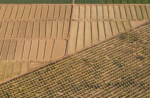 Aerial view of patchwork fields Foto stock