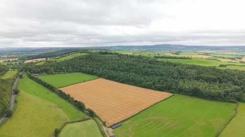 Aerial View of Patchwork Green Fields and Woodlands in County Laois, Ireland. Stock Footage 322221332