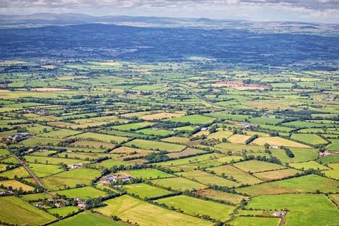 Aerial view of a patchwork of green fields. Stock Photos