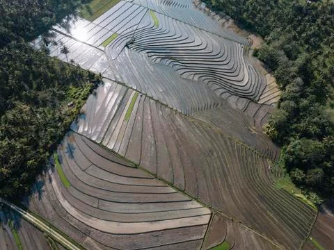 Aerial view of patchwork landscape at Bali 스톡 사진