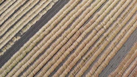 Aerial view of patchwork landscape Stock Footage 114123935