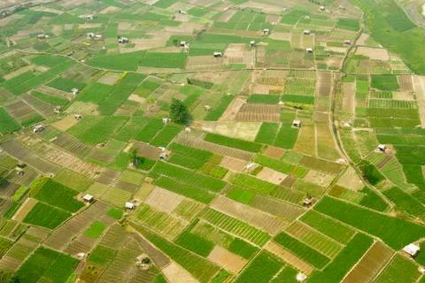 Aerial view of patchwork landscape Fotos de archivo