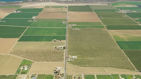 Aerial view patchwork organic crops growing America landscape Stock-Footage 91545658