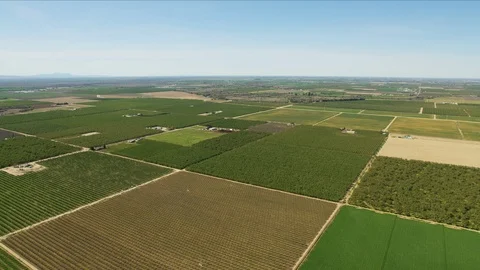 Aerial view patchwork organic crops growing America landscape Stock Footage 91546197