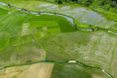 Aerial view of patchwork rice paddies Laos Stock Photos