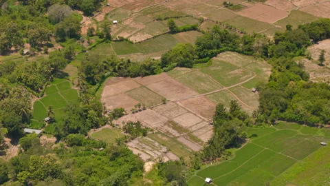 Aerial view of patchwork tropical farmland and green rural landscape Video stock 333975839