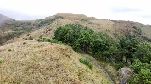Aerial view of the path leading to Forte Geremia in Genoa, flying over the trees Stock Footage 317332019