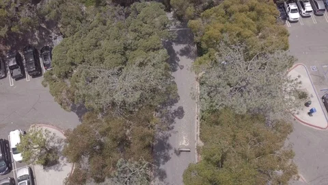 Aerial View Of Path In Real Time, 4K Drone Footage Stock Footage 92925738
