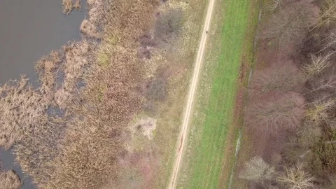 Aerial view of path on the river bank. 動画素材 83247469
