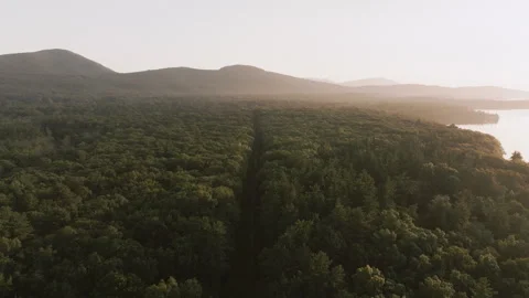 Aerial view of a path through the forest of The Catskill Mountains Stock Footage 346264684