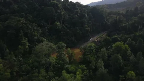 Aerial View of A Path Walk Along Lake in Mountain 動画素材 149491704