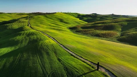 Aerial view of a path winding between the green fields and meadows Stock Footage 318518004