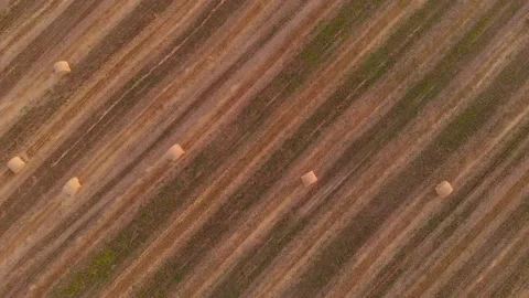 Aerial view of the pattern of straw rolls on the field Stock Footage 146107443