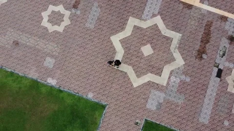 Aerial View of Patterned Pavement with Person and Dog Stock Footage 280000713