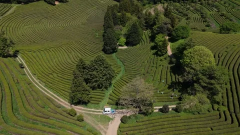 Aerial View of Patterned Terraced Fields on Hillside in South Korea 動画素材 325656235