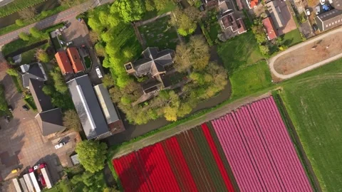 Aerial view of patterned tulip beds and spired church in Stompetoren Stock Footage 313363830