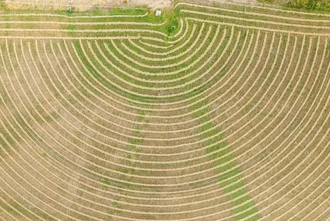 Aerial view of the patterns created by rotating irrigation machine system near Stock Photos