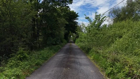 Aerial View of Paved Road Through Dense Green Forest Stock Footage 335621785