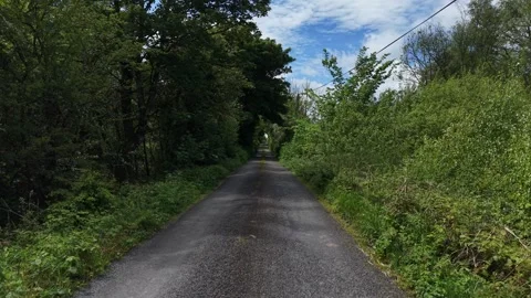 Aerial View of Paved Road Through Dense Green Forest Stock Footage 335621786