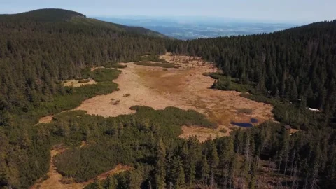 Aerial view of peat bog Stock Footage 153347118
