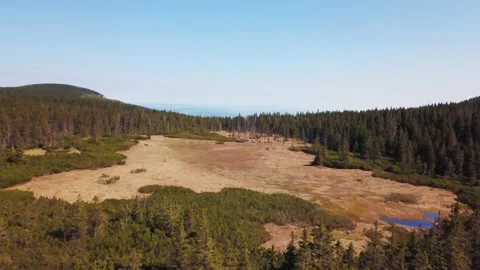 Aerial view of peat bog Stock Footage 153347312