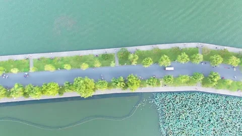 Aerial View of Pedestrian Pathway and Lush Greenery Along West Lake in Hangzhou Stock Footage 342091395