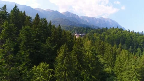 Aerial view of Peles Castle in the forest. Sinaia. Romania. Video stock 150663753